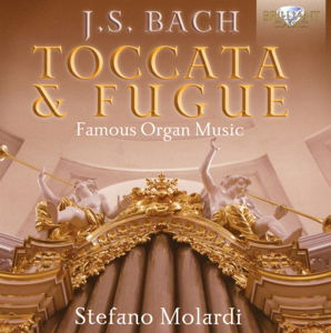 Cover for Bach,j.s. / Molardi,stefano · Bach: Toccata &amp; Fugue (CD) (2016)