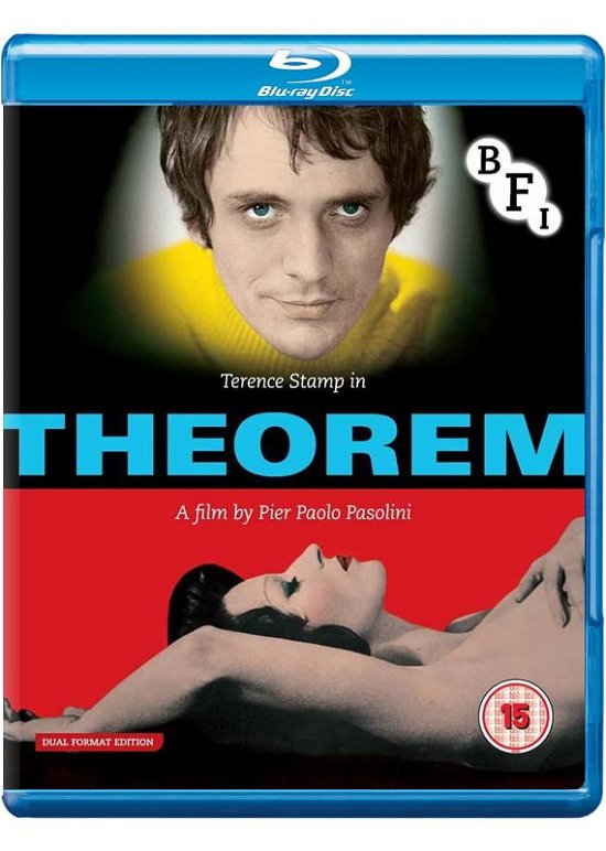 Cover for Theorem Dual Format Edition · Theorem Blu-Ray + (Blu-ray) [Dual Format edition] (2013)