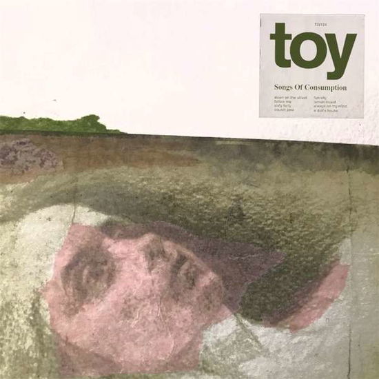 Songs Of Consumption - Toy - Music - TOUGH LOVE - 5055869546669 - November 15, 2019