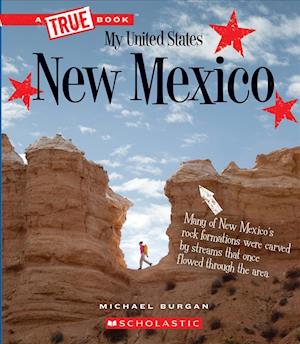 Cover for Michael Burgan · New Mexico (Book) (2018)