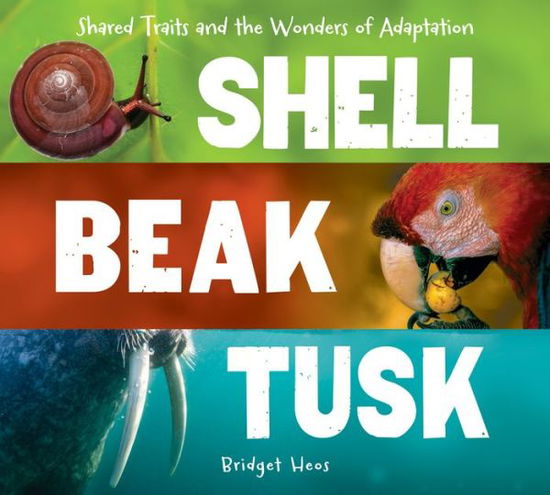 Cover for Bridget Heos · Shell, Beak, Tusk (Hardcover Book) (2017)