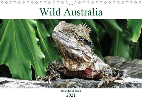 Cover for Beck · Wild Australia (Wall Calendar 2021 (Buch)