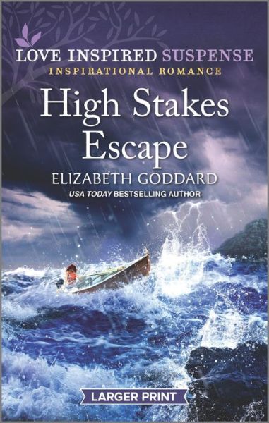 Cover for Elizabeth Goddard · High Stakes Escape (Paperback Book) (2021)