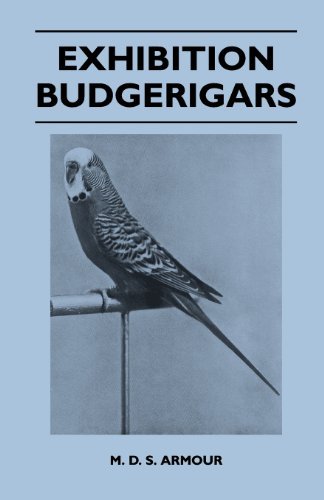 Cover for M. D. S. Armour · Exhibition Budgerigars (Paperback Book) (2011)
