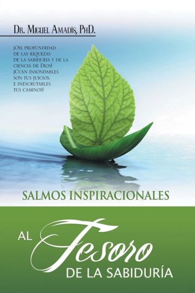 Cover for Miguel Amadis · Al Tesoro De La Sabiduria (Pocketbok) (2013)