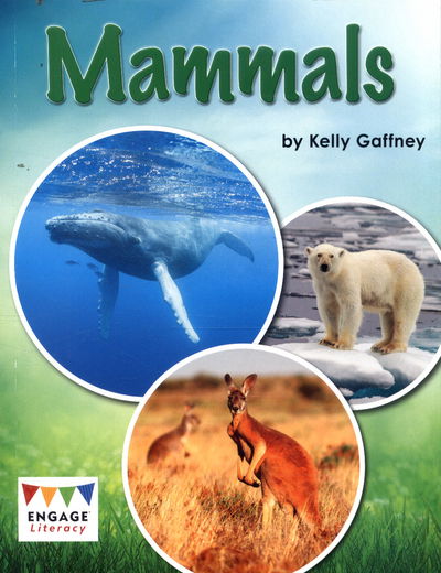 Cover for Kelly Gaffney · Mammals - Engage Literacy White (Paperback Book) (2017)