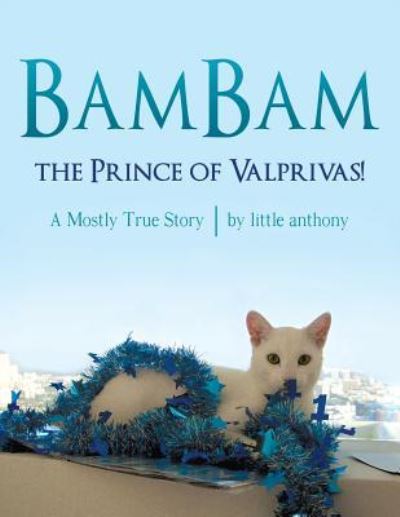 Cover for Little Anthony · BamBam, the Prince of Valprivas! (Paperback Book) (2016)