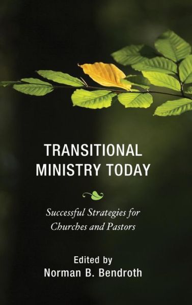 Cover for Norman B Bendroth · Transitional Ministry Today: Successful Strategies for Churches and Pastors (Hardcover Book) (2014)