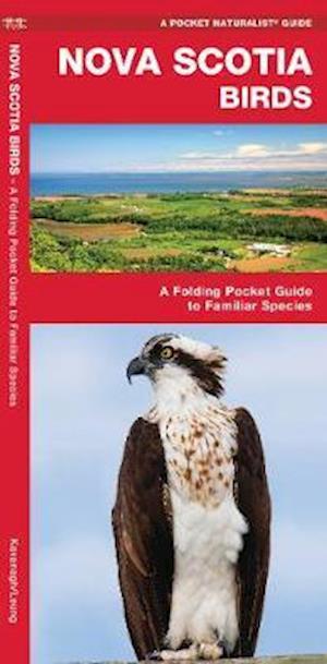 Cover for James Kavanagh · Nova Scotia Birds: A Folding Pocket Guide to Familiar Species - Wildlife and Nature Identification (Pamphlet) (2019)