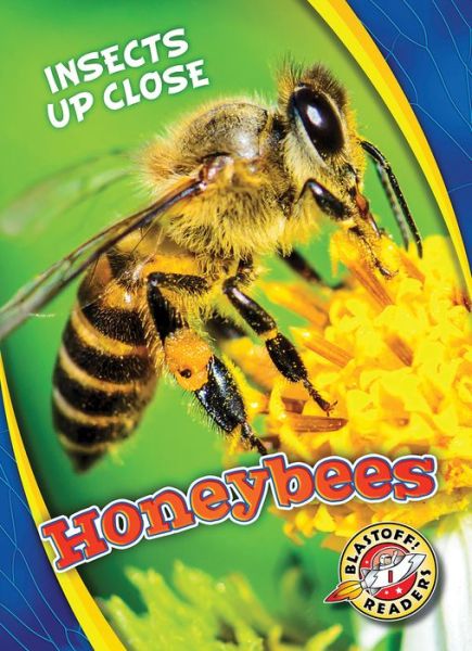 Cover for Christina Leaf · Honeybees - Insects Up Close (Hardcover Book) (2017)