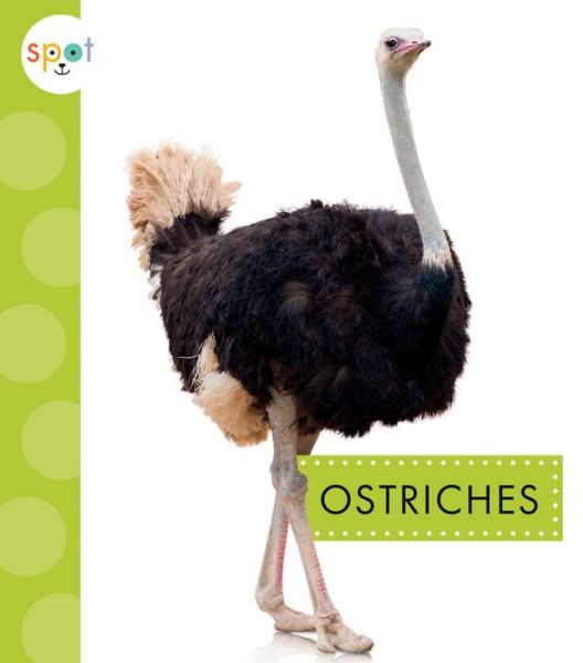 Cover for Lisa J Amstutz · Ostriches (Paperback Book) (2022)