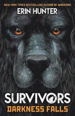 Cover for Erin Hunter · Survivors Book 3: Darkness Falls - Survivors (Paperback Book) (2019)