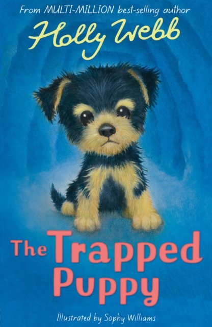 Cover for Holly Webb · The Trapped Puppy - Holly Webb Animal Stories (Paperback Bog) (2023)