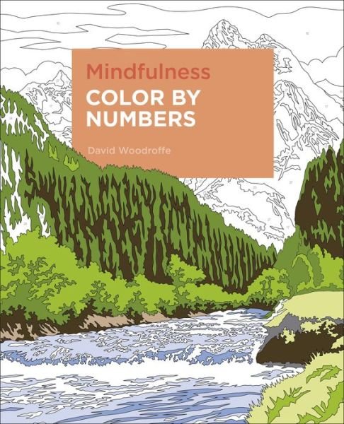 Mindfulness Color by Numbers - David Woodroffe - Böcker - Arcturus Publishing - 9781839406669 - 15 januari 2021