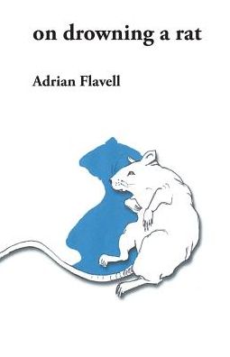 Cover for Adrian Flavell · On Drowning a Rat (Paperback Book) (2015)