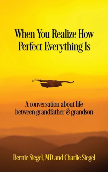 Cover for Bernie S Siegel MD · When You Realize How Perfect Everything Is (Paperback Book) (2020)