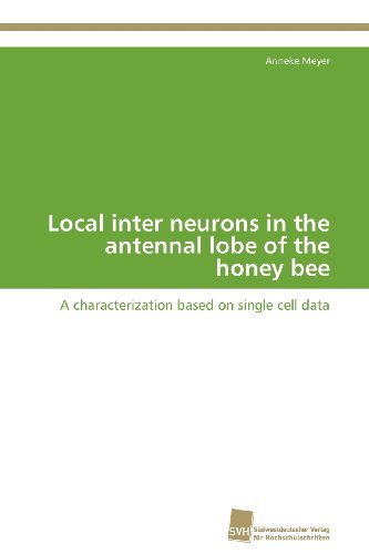 Cover for Anneke Meyer · Local Inter Neurons in the Antennal Lobe of the Honey Bee: a Characterization Based on Single Cell Data (Paperback Book) (2012)