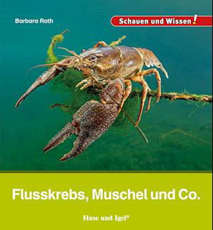 Flusskrebs, Muschel und Co. - Barbara Rath - Książki - Hase und Igel Verlag - 9783863164669 - 15 lutego 2024