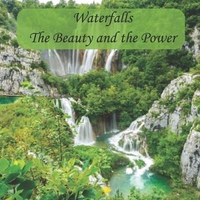 Cover for B T Robb · Waterfalls (Pocketbok) (2021)