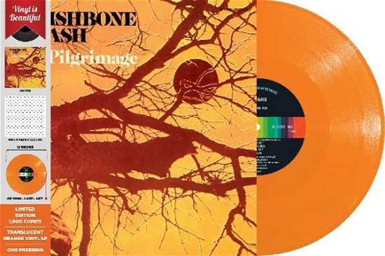 Cover for Wishbone Ash · Pilgrimage (LP) [Coloured edition] (2019)