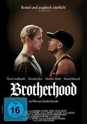 Brotherhood (Omu) - Nicolo Donato - Films - Alive Bild - 4042564231670 - 2 juni 2023