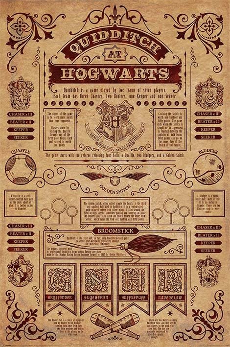 Cover for Harry Potter: Pyramid · Harry Potter Quidditch At Hogwarts () (Plakat) (2023)