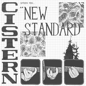 Cover for Cistern · New Standard (LP) [180 gram edition] (2024)