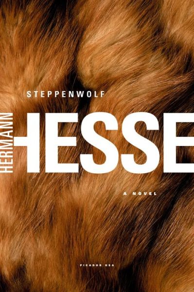 Cover for Hermann Hesse · Steppenwolf: A Novel (Paperback Bog) [Reprint edition] (2002)