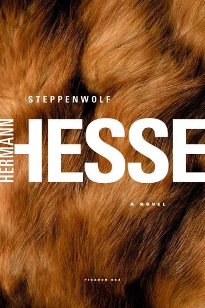 Cover for Hermann Hesse · Steppenwolf: A Novel (Taschenbuch) [Reprint edition] (2002)