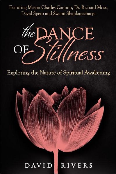 Cover for David Rivers · The Dance of Stillness: Exploring the Nature of Spiritual Awakening ~ Featuring Master Charles Cannon, Dr Richard Moss, David Spero and Swami Shankaracharya (Paperback Book) (2011)