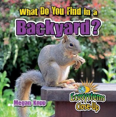 Cover for Megan Kopp · What Do You Find in a Backyard? (Paperback Book) (2016)