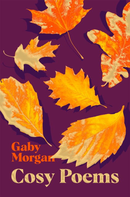 Cover for Gaby Morgan · Cosy Poems (Hardcover bog) (2024)