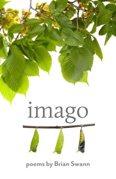 Cover for Swann, Brian (The Cooper Union) · Imago - Johns Hopkins: Poetry and Fiction (Paperback Book) (2023)