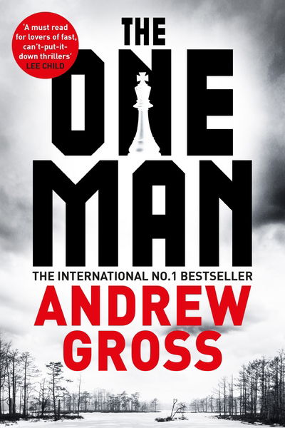 Cover for Andrew Gross · The One Man (Paperback Book) [Main Market Ed. edition] (2017)