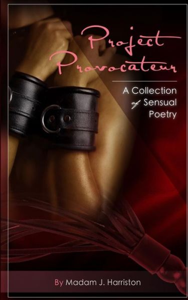 Cover for Madam J Harriston · Project Provocateur (Paperback Book) (2016)