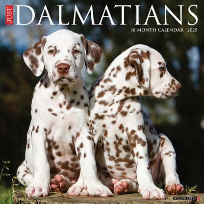 Cover for Willow Creek Press · Just Dalmatians 2025 12 X 12 Wall Calendar (Calendar) (2024)