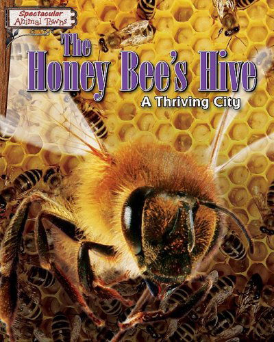 Cover for Joyce Markovics · The Honey Bee's Hive: a Thriving City (Spectacular Animal Towns) (Hardcover Book) (2009)