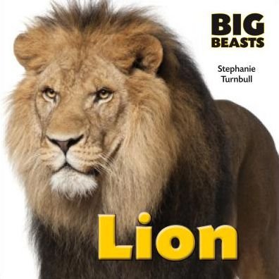 Cover for Stephanie Turnbull · Lion (Big Beasts) (Gebundenes Buch) (2015)