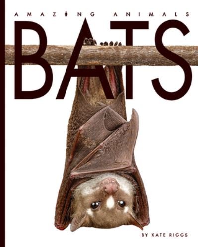 Cover for Valerie Bodden · Bats (Bog) (2020)