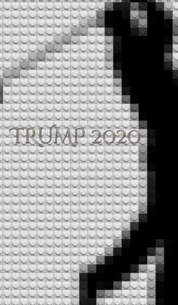 Cover for Sir Michael Huhn · Trump 2020 Golf creative Journal Notebook (Hardcover Book) (2019)