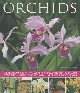 Cover for Mikolajski Andrew · Orchids (Paperback Book) [Ill edition] (2015)