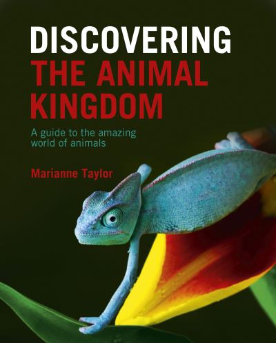 Cover for Marianne Taylor · Discovering The Animal Kingdom: A guide to the amazing world of animals - Discovering... (Hardcover Book) (2022)