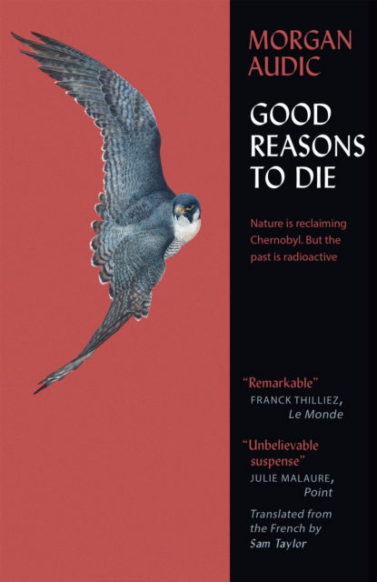 Cover for Morgan Audic · Good Reasons to Die (Paperback Book) (2024)