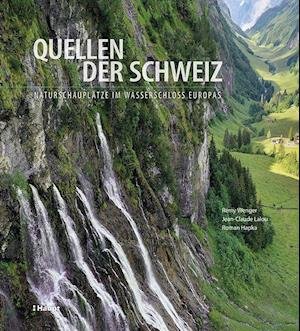 Cover for Rémy Wenger · Quellen der Schweiz (Hardcover Book) (2021)
