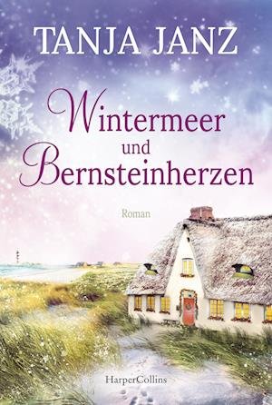 Cover for Tanja Janz · Wintermeer und Bernsteinherzen (Bok) (2022)
