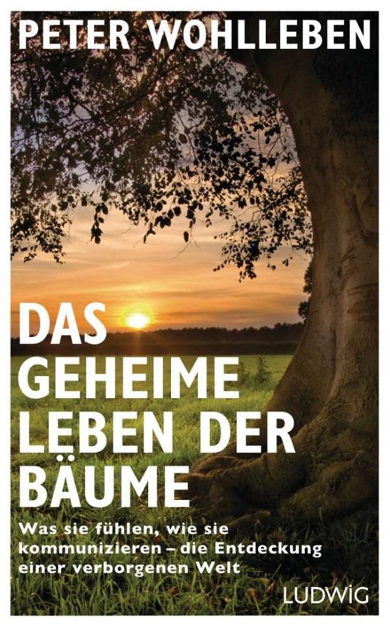 Cover for Wohlleben · Das geheime Leben der Bäume (Bok)