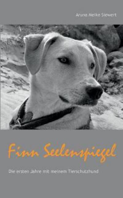 Cover for Siewert · Finn Seelenspiegel (Book) (2017)