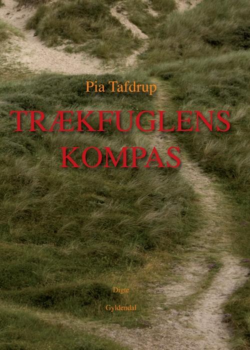 Cover for Pia Tafdrup · Trækfuglens kompas (Heftet bok) [1. utgave] (2010)