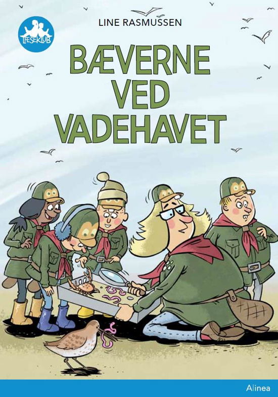 Cover for Line Rasmussen · Læseklub: Bæverne ved Vadehavet, blå læseklub (Bound Book) [1.º edición] (2021)