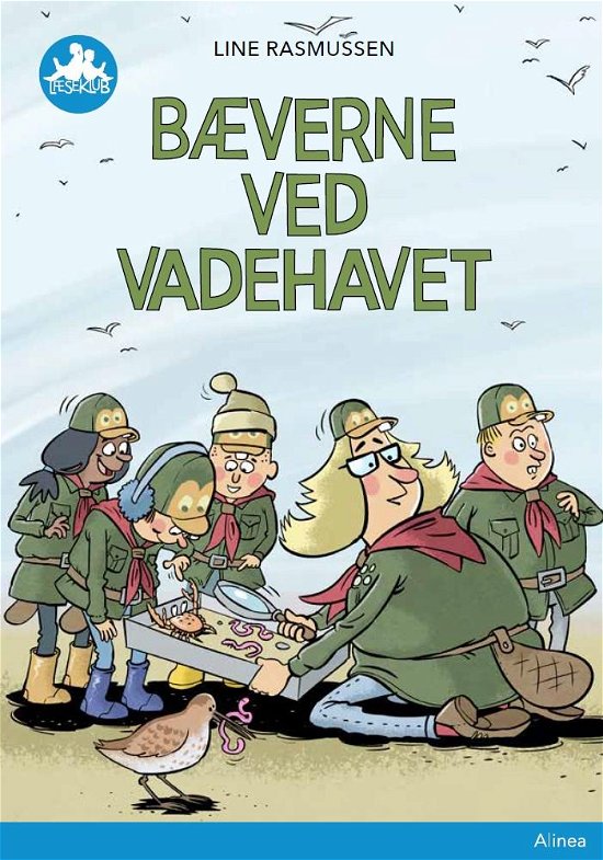 Cover for Line Rasmussen · Læseklub: Bæverne ved Vadehavet, blå læseklub (Bound Book) [1st edition] (2021)